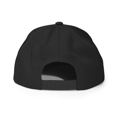 "Wings" Snapback Hat