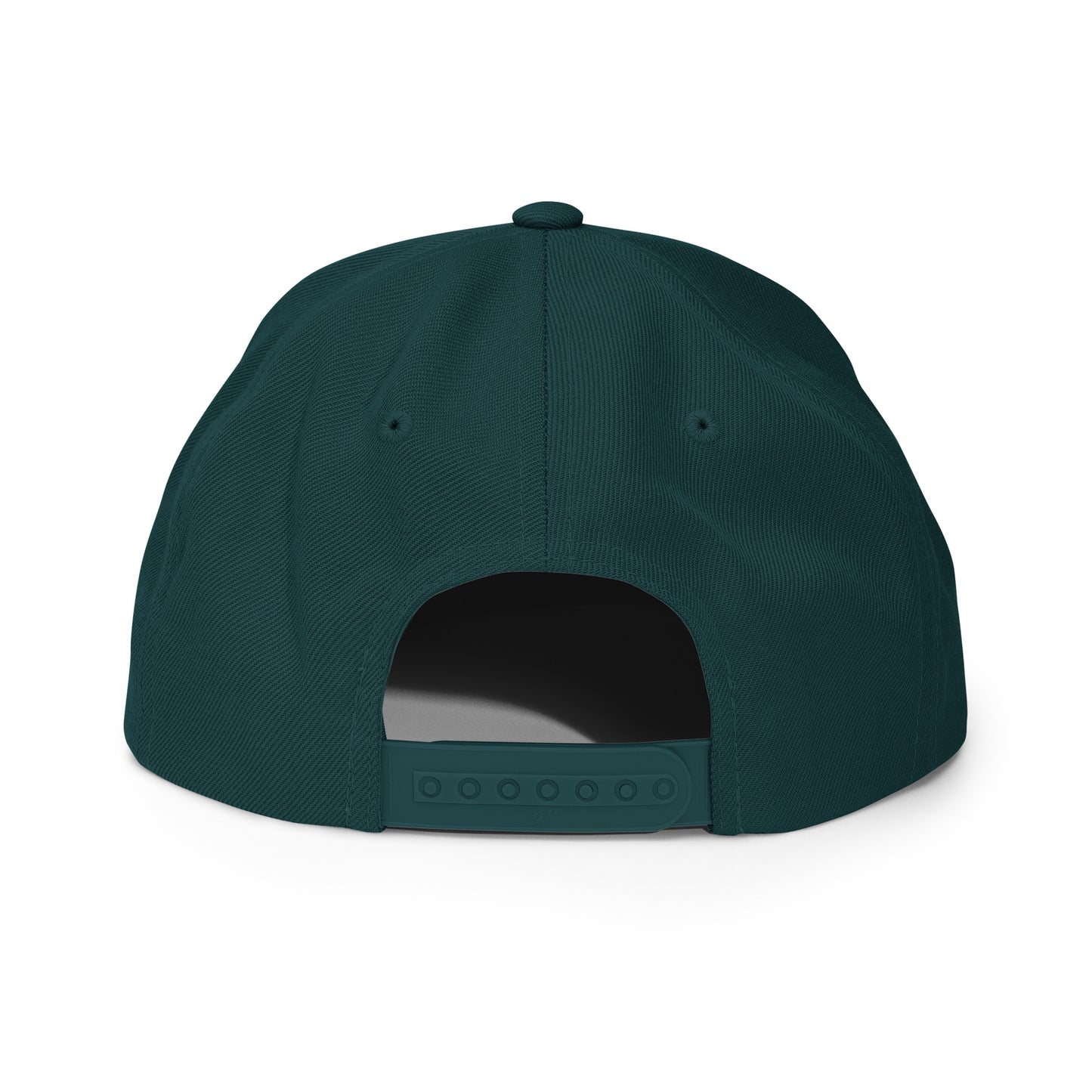 "Wings" Snapback Hat